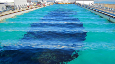 Oil slick