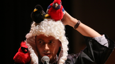 Bird-brained Judge