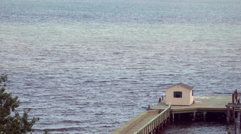 York River HAB