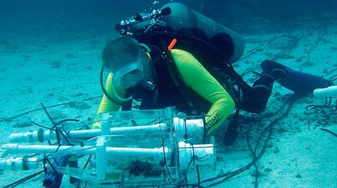 Underwater research