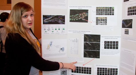 Research on display