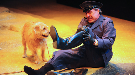 Virginia Shakespeare Festival