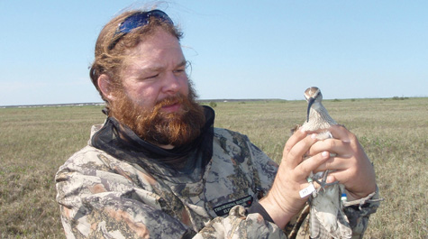 Bird in the hand