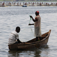 workingwithugandalistingimage