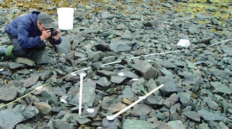 Rocky beach