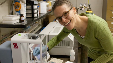 New Mellon post-doc