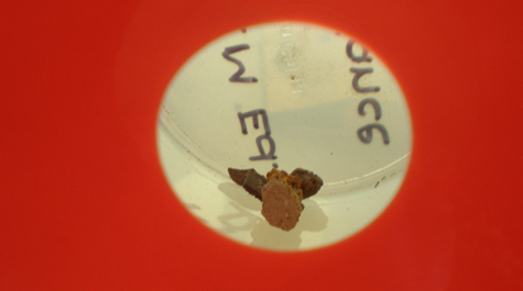 Specimen collection