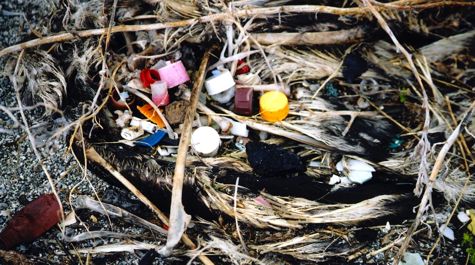 Macroplastics