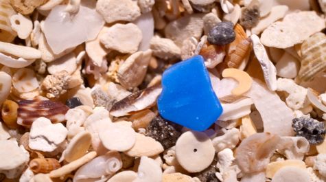 Beach plastics