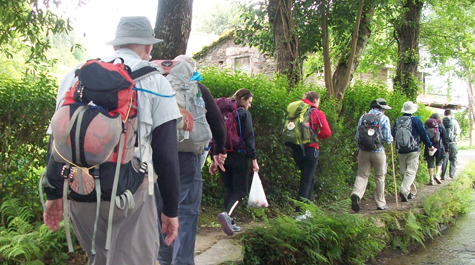 Pilgrims' progress