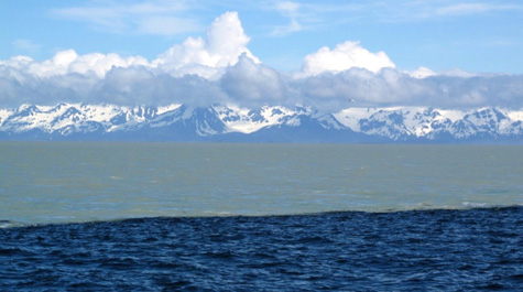 Copper River plume