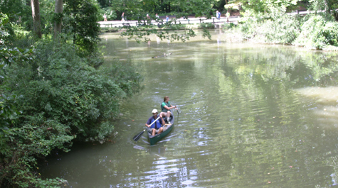Cruising for turtles