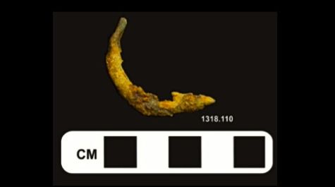 Fish hook