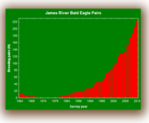 Data from the Center for Conservation Biology tracks the resurgence of bald eagles along the James River.