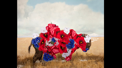 "Manifest Destiny," by Jason DeMarte