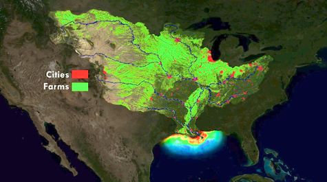 Dead Zone Dynamics