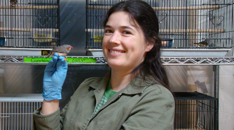 A bird in the hand
