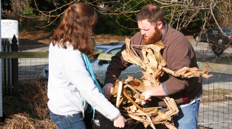 Loading leaves