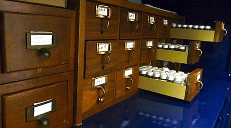 Larval fish collection
