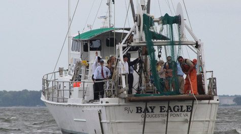 Bay Eagle