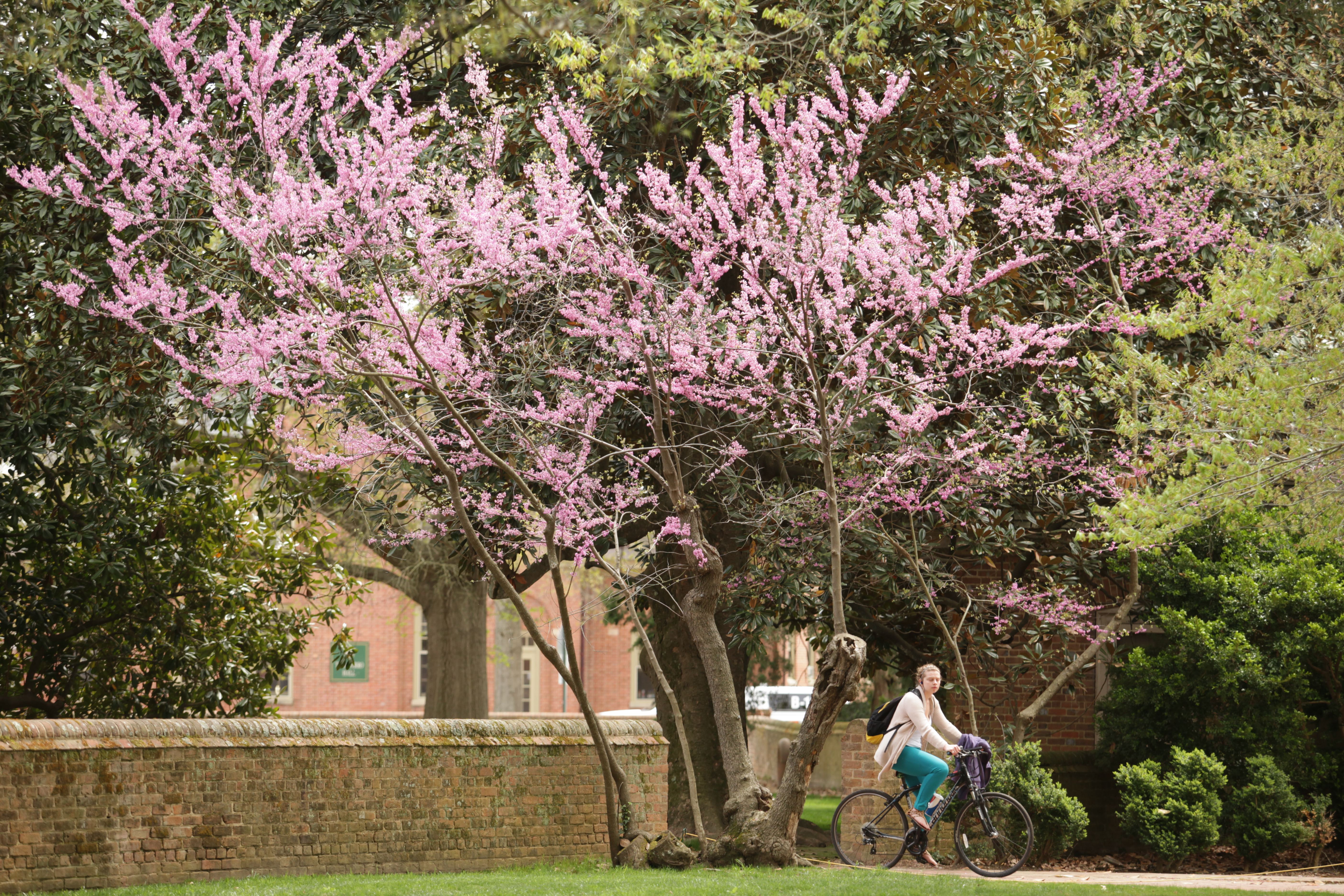 spring_04162015112.jpg