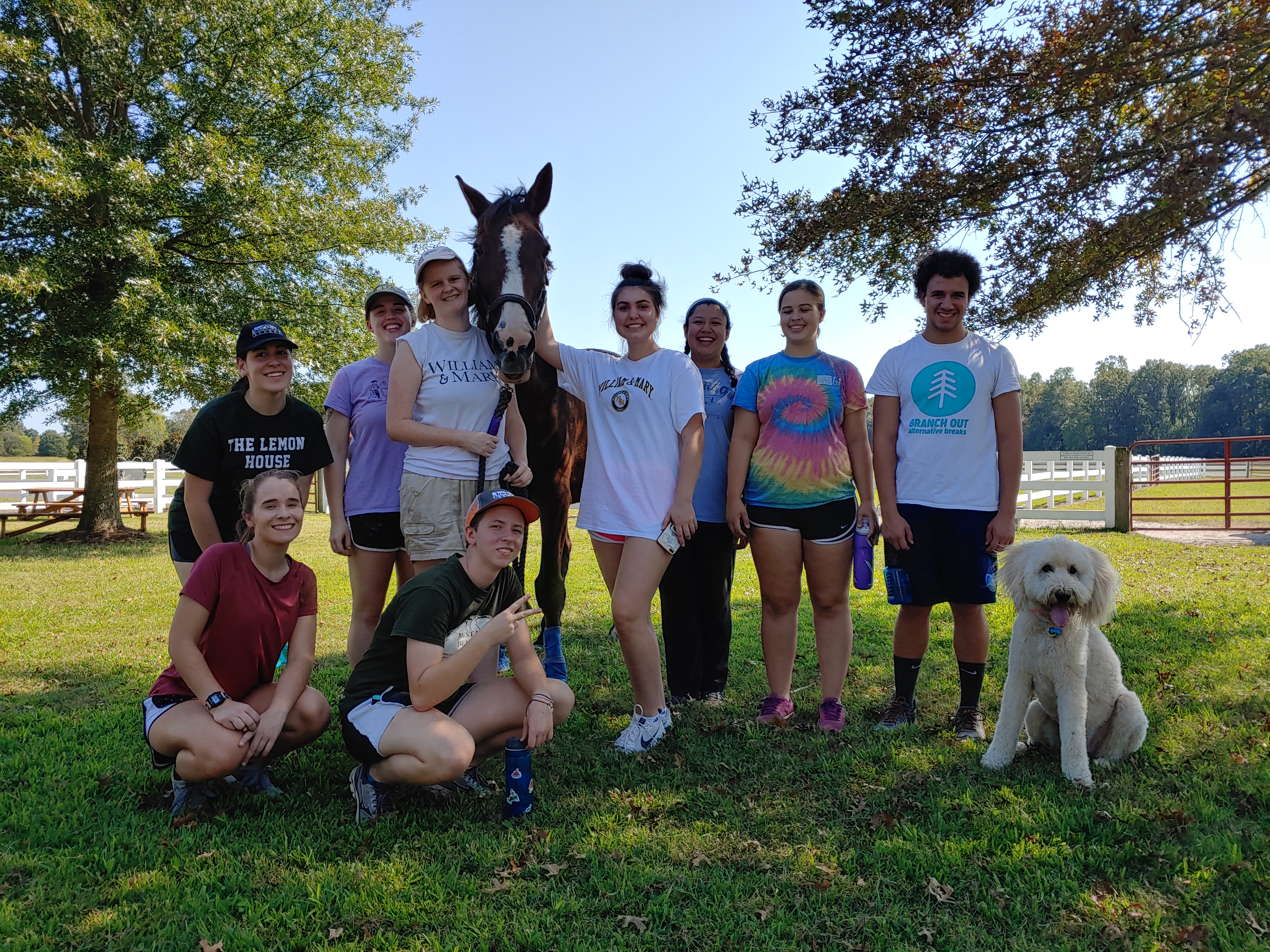 Civic leadership students volunteering at Dream Catchers