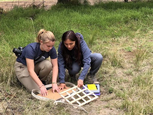 CRP students on a project in Mexico