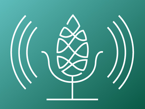 Podcast Grid Card