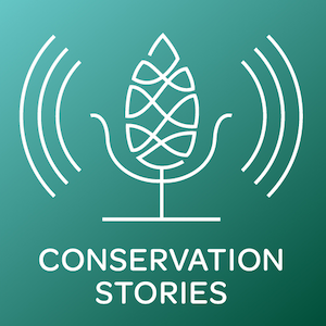 Podcast Logo with name