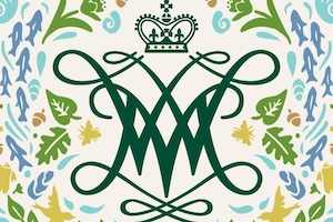 Year of the Environment icon