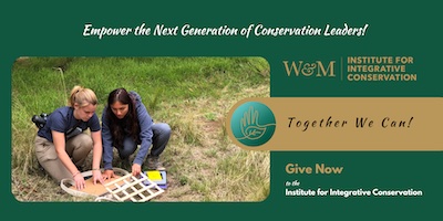 standard-give-now-IIC-banner-thumnbanil
