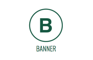 bannerwidget1