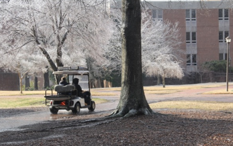 golfcartice