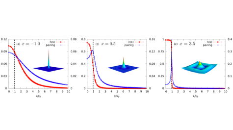 Quantum Mechanical Phenomena in New States of Matter