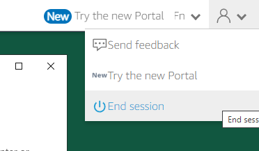 End the Session (Sign Out)