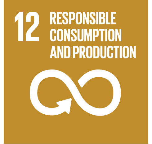 12: Responsible Consumption and Production