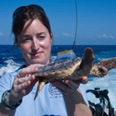 Katherine L. Mansfield Ph.D. VIMS '06, Director, Marine Turtle Research Group