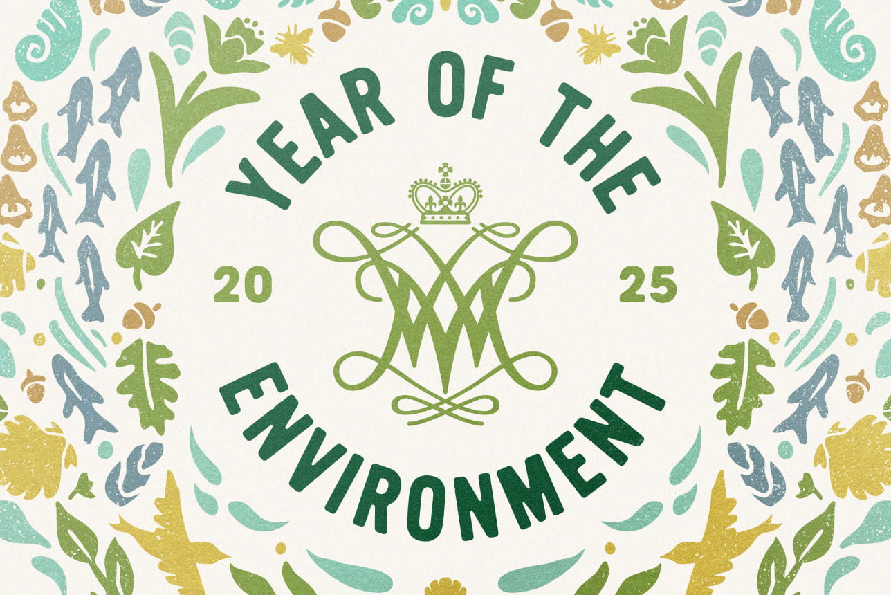 Year of the Environment